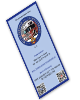 icon flyer blau